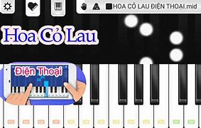 Dạy Đánh Đàn Piano Bài Hoa Cỏ Lau