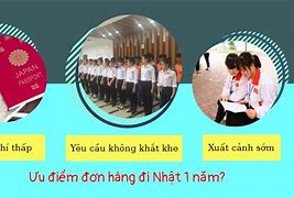 Đơn Đi Nhật 3 Năm Gần Đây Là Gì