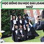 Hệ Ngôn Ngữ Đài Loan Bao Giờ Mở Cửa Được