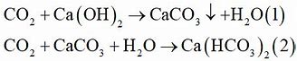 Hiện Tượng Khi Thổi Từ Từ Co2 Vào Nước Vôi Trong