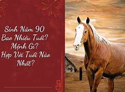 Sinh Năm 1990 Bao Nhiêu Tuổi Năm 2024