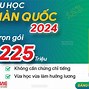 Trải Nghiệm Du Học Hè Hàn Quốc Tại Tphcm 2024 Mới Nhất Youtube