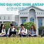 Trường Đại Học Ansan Ở Đâu Mỹ Là