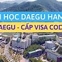 Trường Top 3 Hàn Quốc Ở Daegu