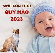 Tuổi Tý Sinh Con Năm 2023 Có Hợp Không