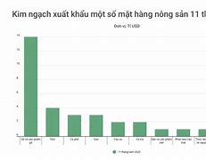 Xuất Khẩu Điều Việt Nam 2022 Là Gì Tại Sao