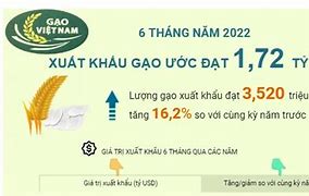 Xuất Khẩu Gạo Cuối Năm 2022 Là Gì Thuế Nào